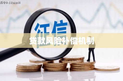 铜陵贷款风险补偿机制