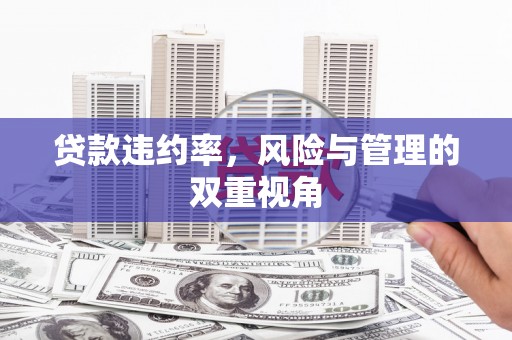 铜陵贷款违约率，风险与管理的双重视角