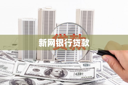 铜陵新网银行贷款