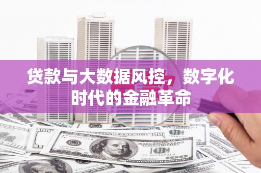 铜陵贷款与大数据风控，数字化时代的金融革命