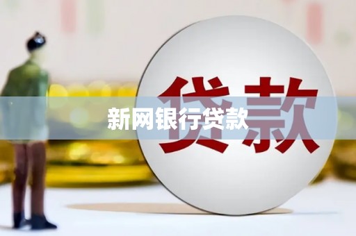 铜陵新网银行贷款