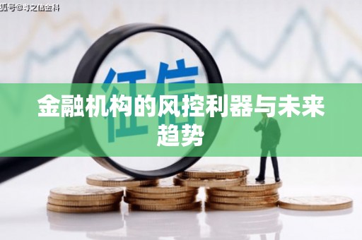 铜陵金融机构的风控利器与未来趋势