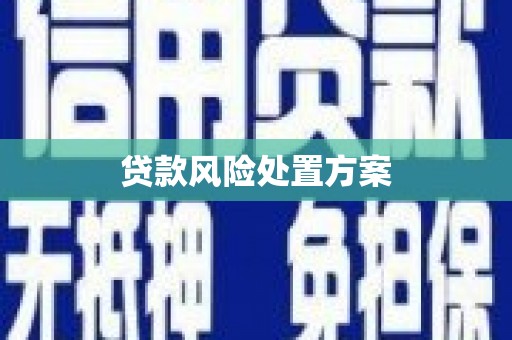 铜陵贷款风险处置方案