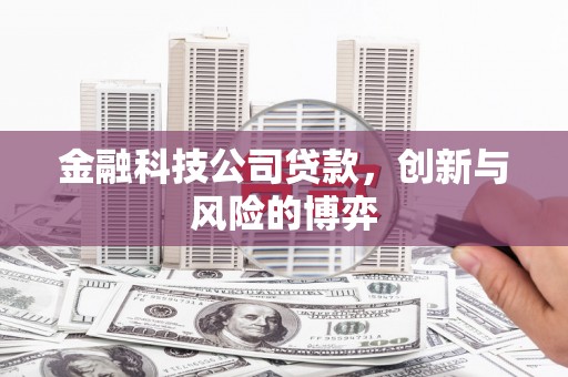 铜陵金融科技公司贷款，创新与风险的博弈