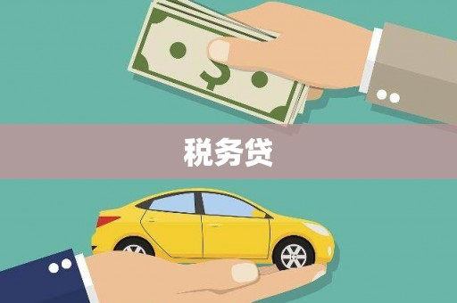 铜陵税务贷