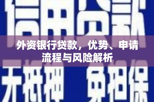 铜陵外资银行贷款，优势、申请流程与风险解析