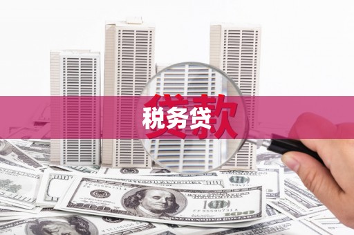 铜陵税务贷