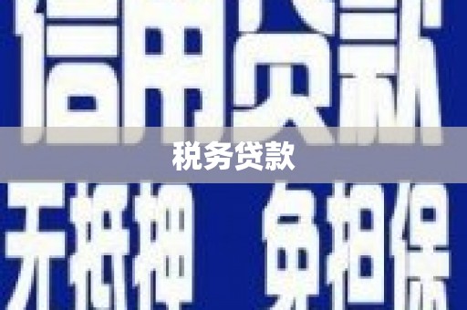 铜陵税务贷款