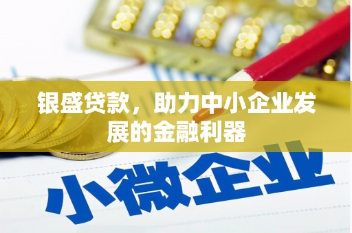 铜陵银盛贷款，助力中小企业发展的金融利器