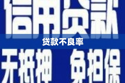 铜陵贷款不良率