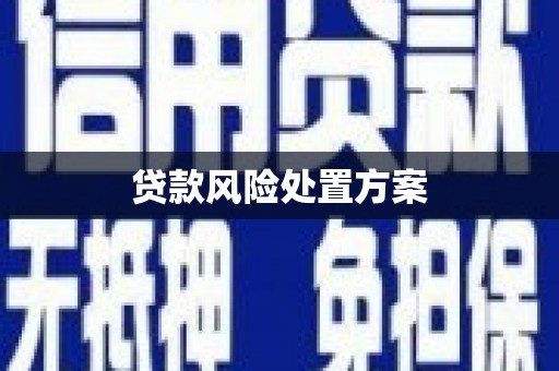铜陵贷款风险处置方案