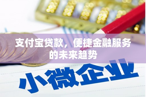 铜陵支付宝贷款，便捷金融服务的未来趋势