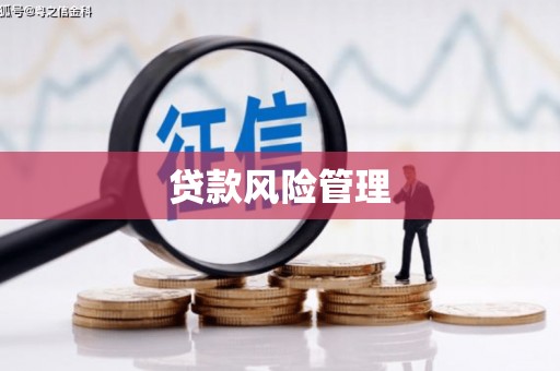 铜陵贷款风险管理