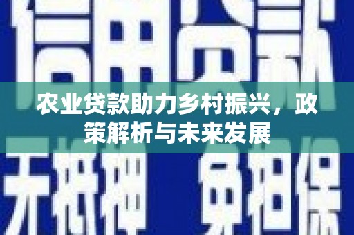 铜陵农业贷款助力乡村振兴，政策解析与未来发展
