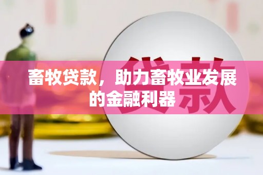 铜陵畜牧贷款，助力畜牧业发展的金融利器