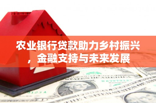 铜陵农业银行贷款助力乡村振兴，金融支持与未来发展