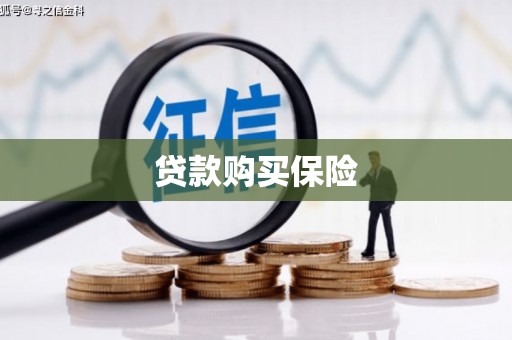 铜陵贷款购买保险