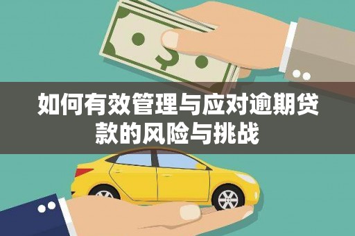 铜陵如何有效管理与应对逾期贷款的风险与挑战