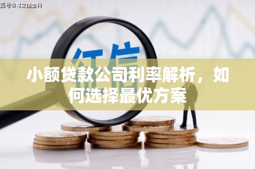 铜陵小额贷款公司利率解析，如何选择最优方案
