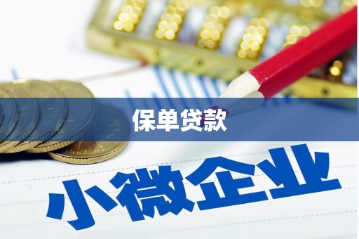 铜陵保单贷款