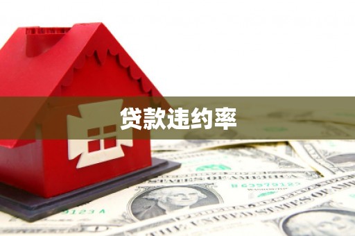 铜陵贷款违约率
