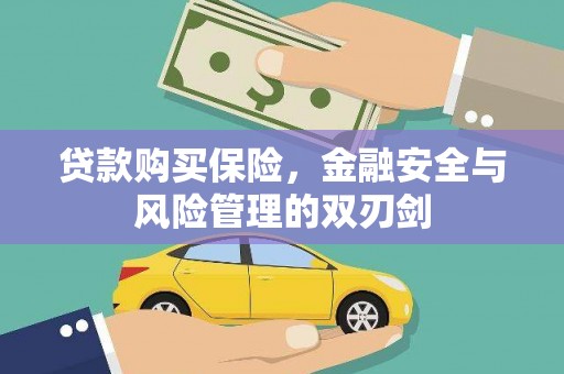铜陵贷款购买保险，金融安全与风险管理的双刃剑