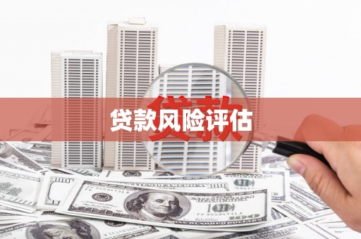 铜陵贷款风险评估