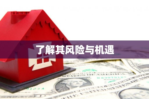 铜陵了解其风险与机遇