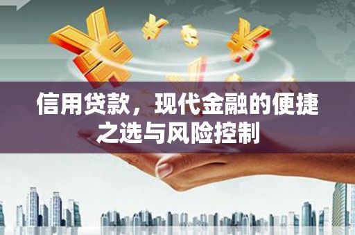 铜陵信用贷款，现代金融的便捷之选与风险控制