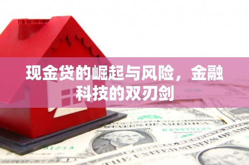 铜陵现金贷的崛起与风险，金融科技的双刃剑