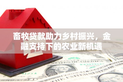 铜陵畜牧贷款助力乡村振兴，金融支持下的农业新机遇