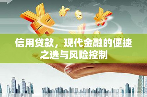 铜陵信用贷款，现代金融的便捷之选与风险控制