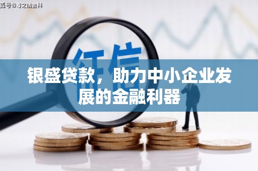 铜陵银盛贷款，助力中小企业发展的金融利器