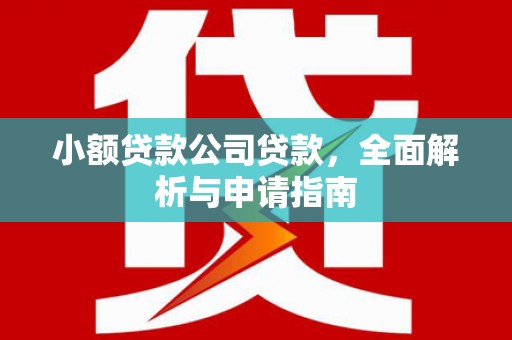 铜陵小额贷款公司贷款，全面解析与申请指南