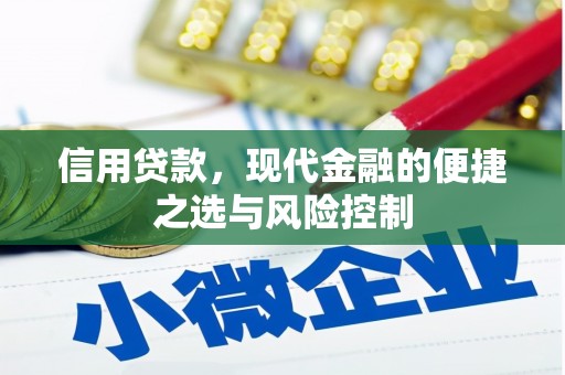 铜陵信用贷款，现代金融的便捷之选与风险控制