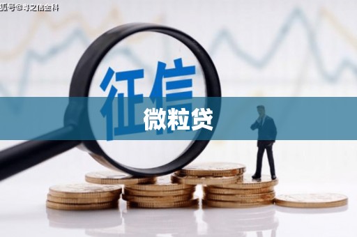 铜陵微粒贷