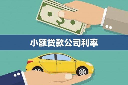 铜陵小额贷款公司利率