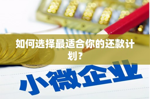 铜陵如何选择最适合你的还款计划？