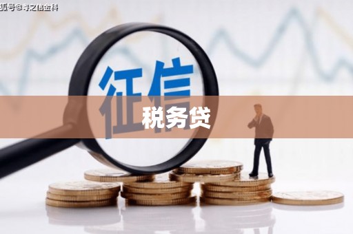 铜陵税务贷