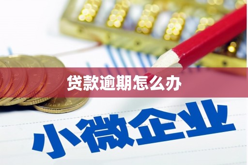 铜陵贷款逾期怎么办