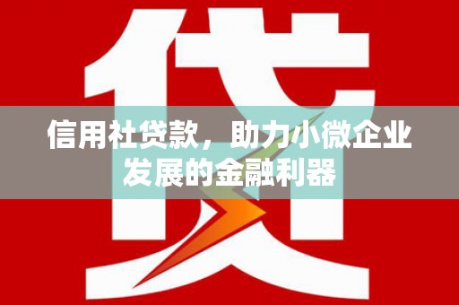 铜陵信用社贷款，助力小微企业发展的金融利器