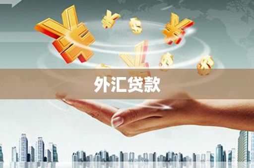 铜陵外汇贷款