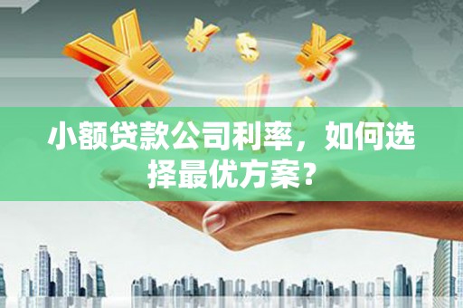 铜陵小额贷款公司利率，如何选择最优方案？
