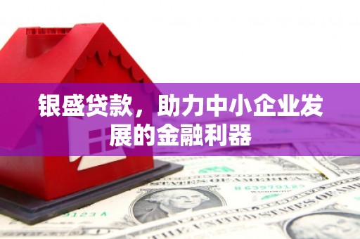 铜陵银盛贷款，助力中小企业发展的金融利器