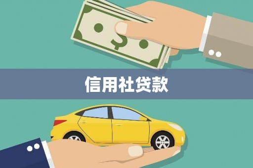 铜陵信用社贷款