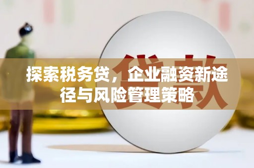 铜陵探索税务贷，企业融资新途径与风险管理策略