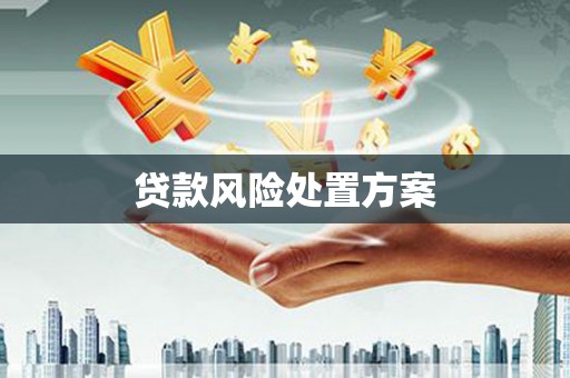 铜陵贷款风险处置方案