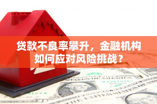 铜陵贷款不良率攀升，金融机构如何应对风险挑战？