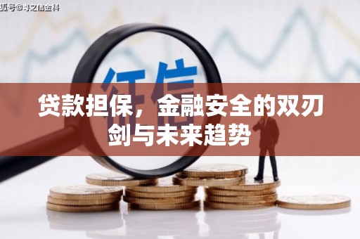 铜陵贷款担保，金融安全的双刃剑与未来趋势
