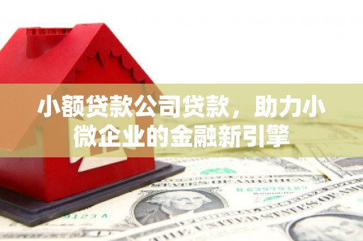 铜陵小额贷款公司贷款，助力小微企业的金融新引擎
